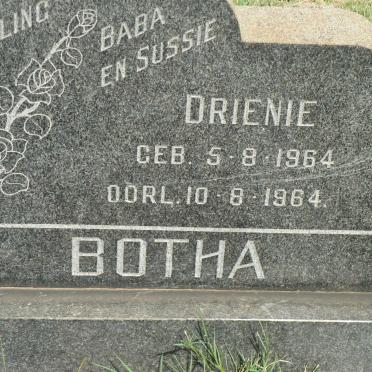 BOTHA Drienie 1964-1964
