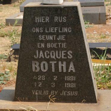 BOTHA Jacques 1981-1981