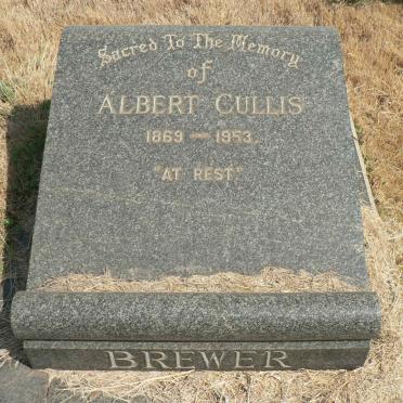 BREWER Albert Cullis 1869-1953