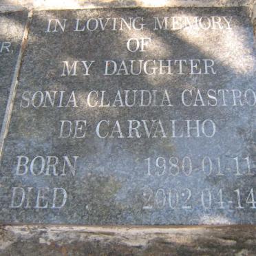 CARVALHO Sonia Claudia Castro, de 1980-2002
