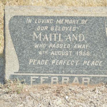 FERRAR Maitland -1955