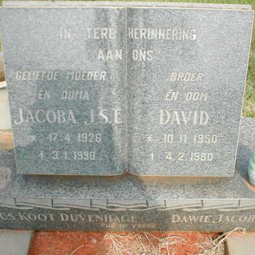 JACOBZ David 1950-1990 :: DUVENAGE Jacoba J.S.E. 1926-1990