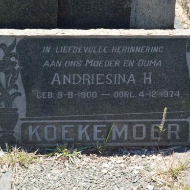 KOEKEMOER Andriesina H. 1900-1974