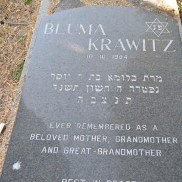 KRAWITZ Bluma -1994