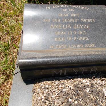 MEYER Dirk Renier 1916-1989 &amp; Amelia Joyce 1917-1960