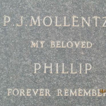 MOLLENTZE P.J.
