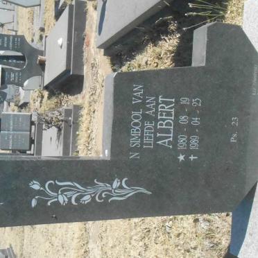NAUDE Albert 1980-1989