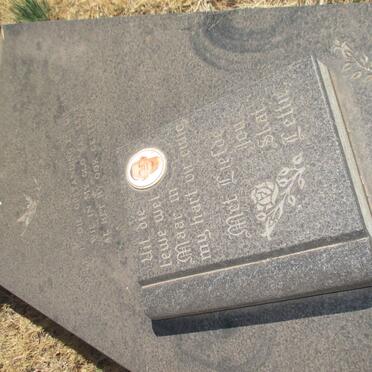 NIEUWENHUIZEN Jan Cornelius 1918-1992