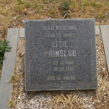 PRINSLOO Attie 1986-1995