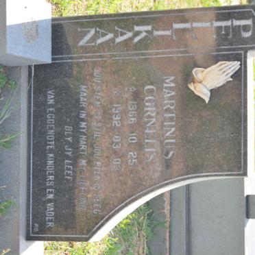 PELLIKAAN Martinus Cornelis 1966-1992
