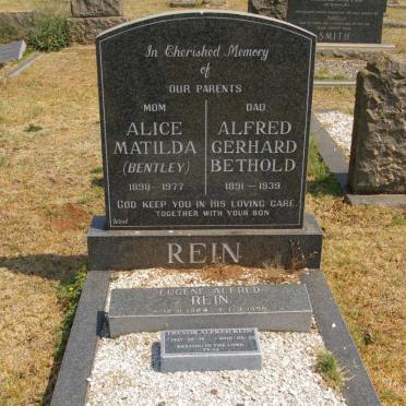 REIN FAMILY