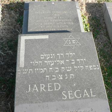 SEGAL Jared -1980