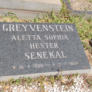 SENEKAL David Cornelius Johannes 1903-1975 &amp; Aletta Sophia Hester GREYVENSTEIN 1906-1994