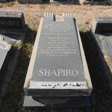 SHAPIRO Pere Rachel -1953