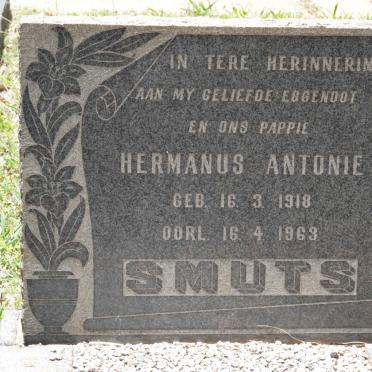 SMUTS Hermanus Antonie 1918-1963