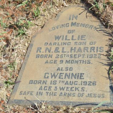 HARRIS Willie 1922-1923 :: HARRIS Gwennie 1926-1926