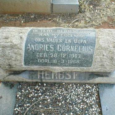 HERBST Andries Cornelius 1903-1966
