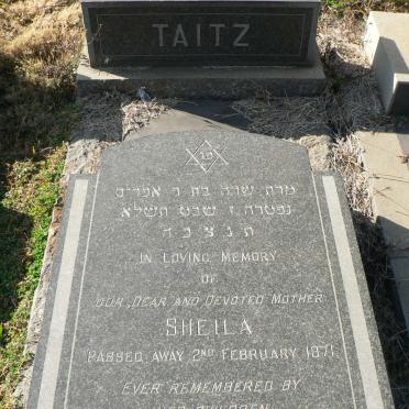TAITZ Sheila -1971