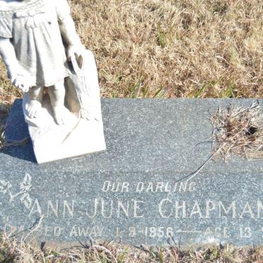 TRUTER Alan Michael 1954-1984 :: CHAPMAN Ann June -1956 :: TRUTER Jennifer Dawn 1953-1960