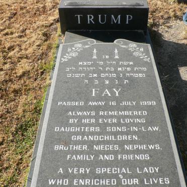 TRUMP Fay -1999