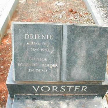 VORSTER Drienie 1910-1983