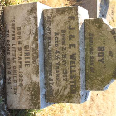 WELLSTED Roy 1917- :: WELLSTED Girlie 1924-