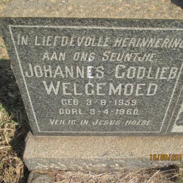 WELGEMOED Johannes Godlieb 1959-1960