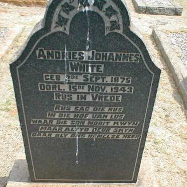 WHITE Andries Johannes 1875-1943