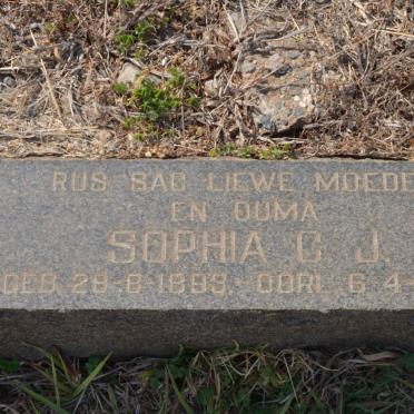 WILLIAMSON Hendrik Stefanus 1892-1952 &amp; Sophia C.J. 1893-1968 