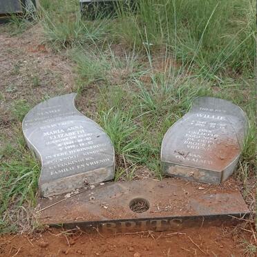 BRITS Willie 1941-2010 & Maria Anna Elizabeth DE BEER 1944-1999 _1