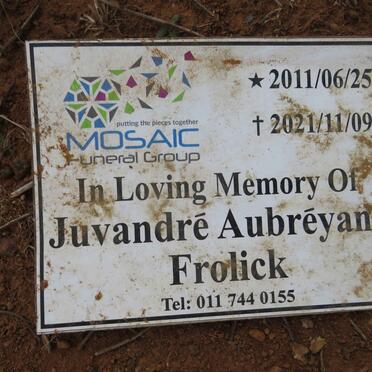 FROLICK Juvandre Aubreyano 2011-2021