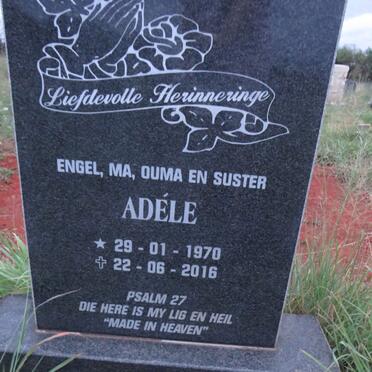 PIEK Adele 1970-2016