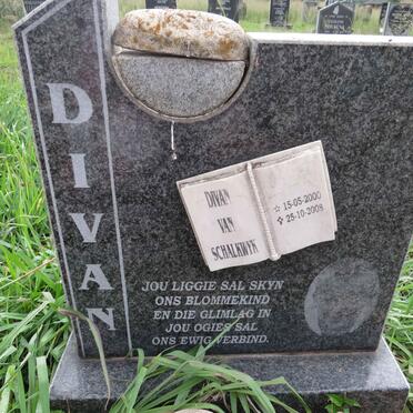 SCHALKWYK Divan, van 2000-2008