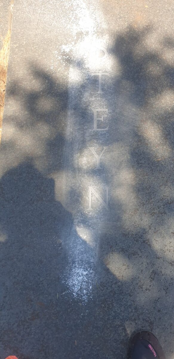 ? STEYN