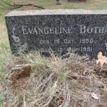 BOTHA Evangeline 1950-1951