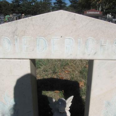 DIEDERICHS Nikita 1988-1990