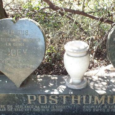 POSTHUMUS Daniel 1930-1982 &amp; Joey 1937-199?