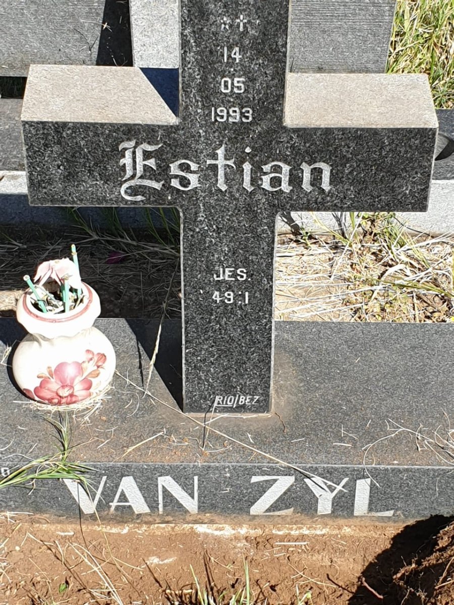 ZYL Estian, van 1993-1993