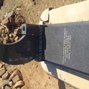 MAAROGANYE Peter 1978-1978