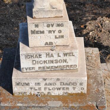 DICKINSON Michael Halliwell