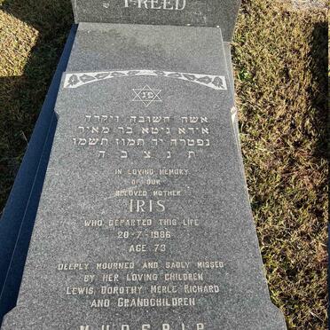 FREED Iris -1986