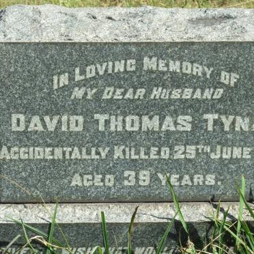 TYNAN David Thomas -1916