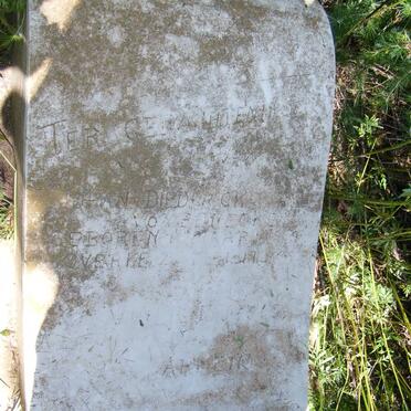 BENECKE Johan Diederick, von 1919-1919