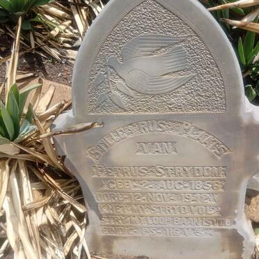 STRYDOM Petrus 1856-1942