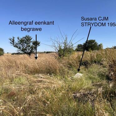 2. Oorsig / Overview