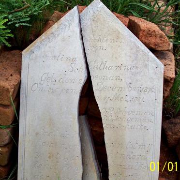 SCHOEMAN Gedina Catharina 1876-1881_2