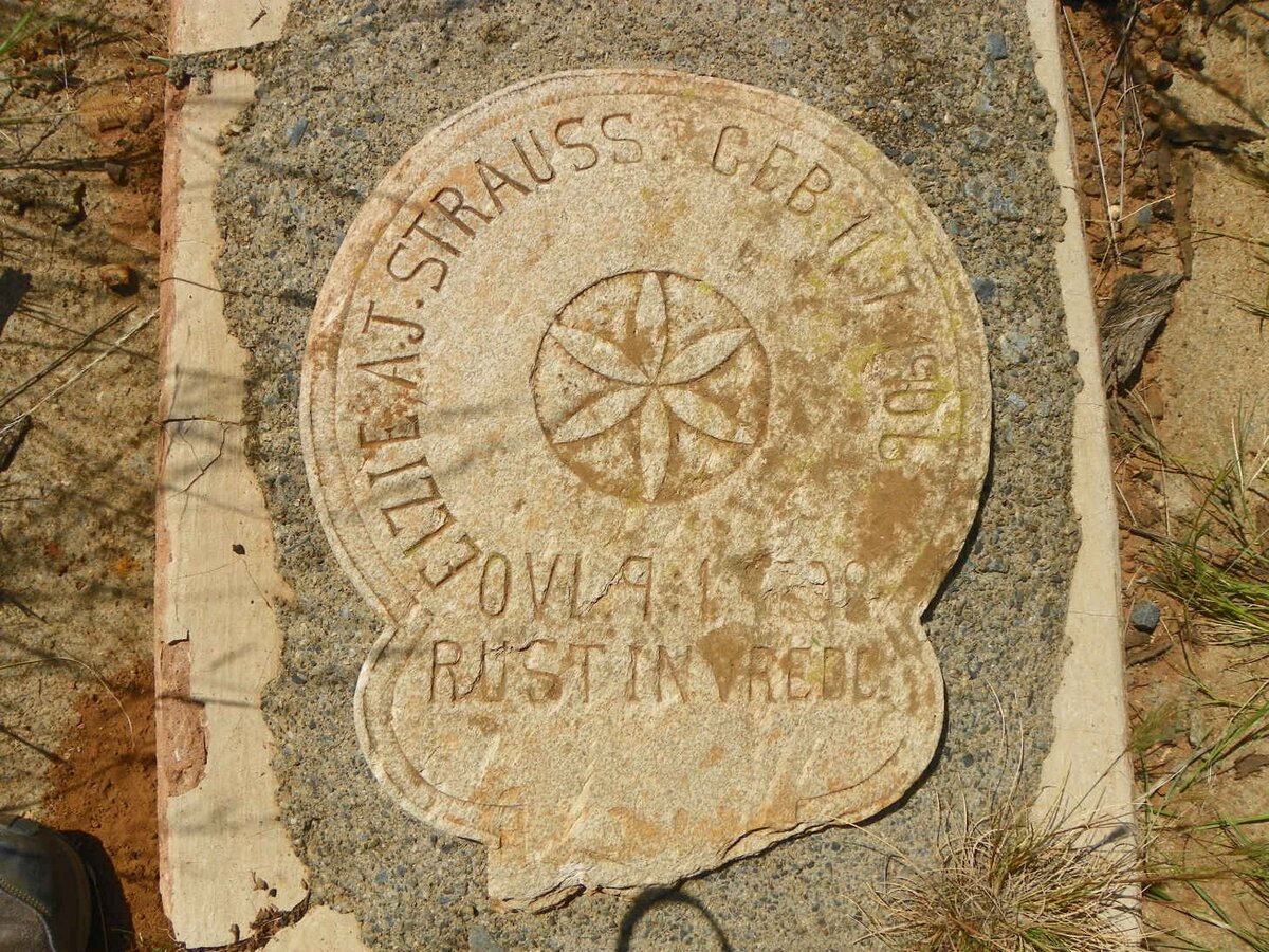 STRAUSS Elzie A.J. 1906-1908