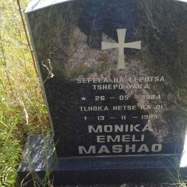 Gauteng, WESTONARIA district, Jachtfontein 344 IQ, rural cemetery_2