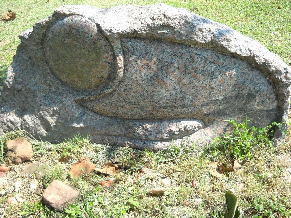 WHEELER Montana Mae 2000-2001