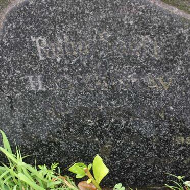 WORTMANN H.C. Gustav 1892-1955